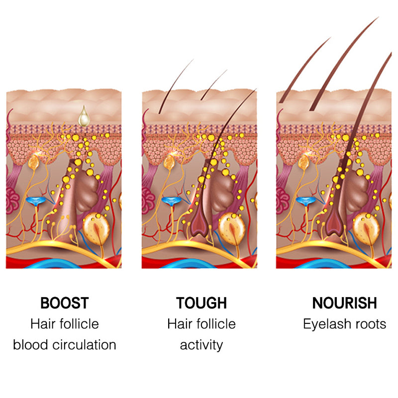 Promotes ScalpmetabolismNourish The Hair Roots